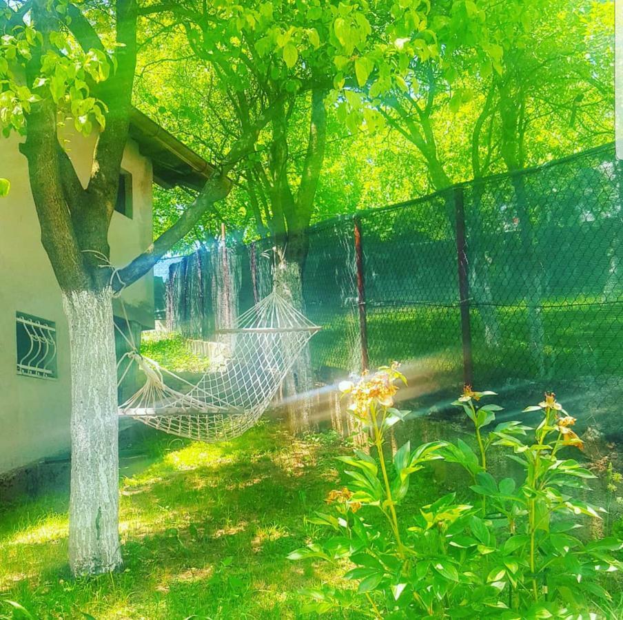 Keep Calm Garden Villa Sarajevo Exterior photo